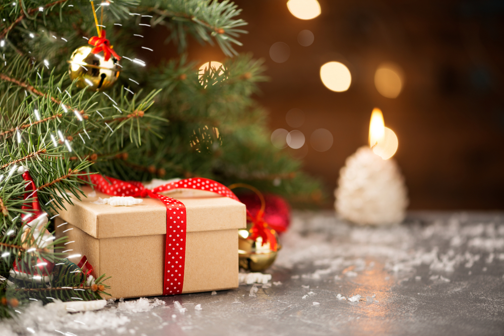 Offrez une aventure unique avec nos Bons Cadeaux pour Noël !